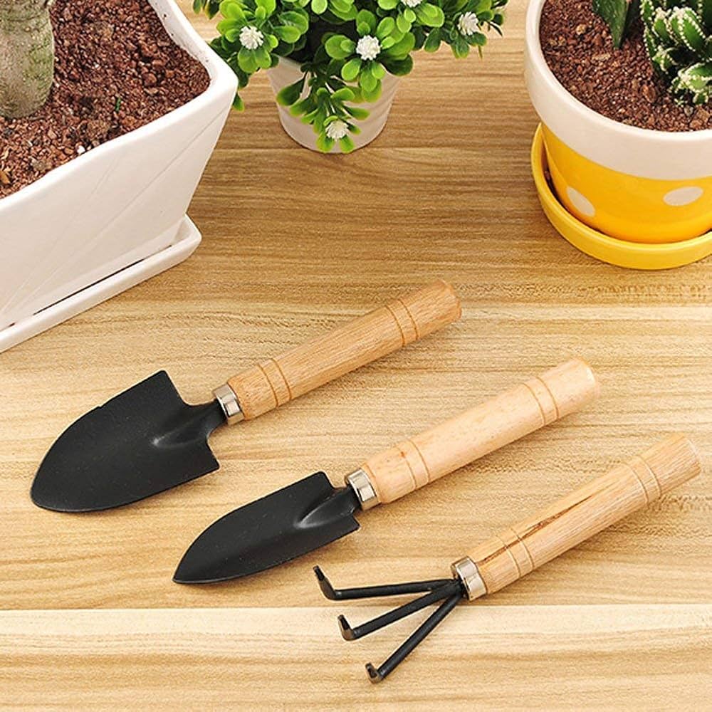 Garden Tools & Accessories